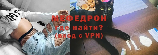 прущие грибы Гусиноозёрск